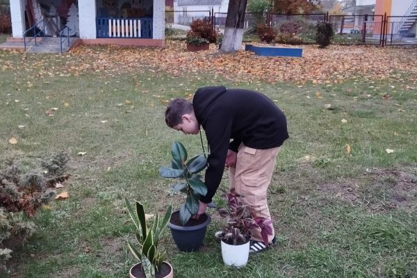 Трудовая акция 